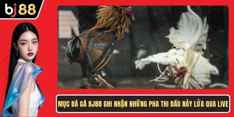 Mục đá gà BJ88 ghi nhận những pha thi đấu nảy lửa qua live