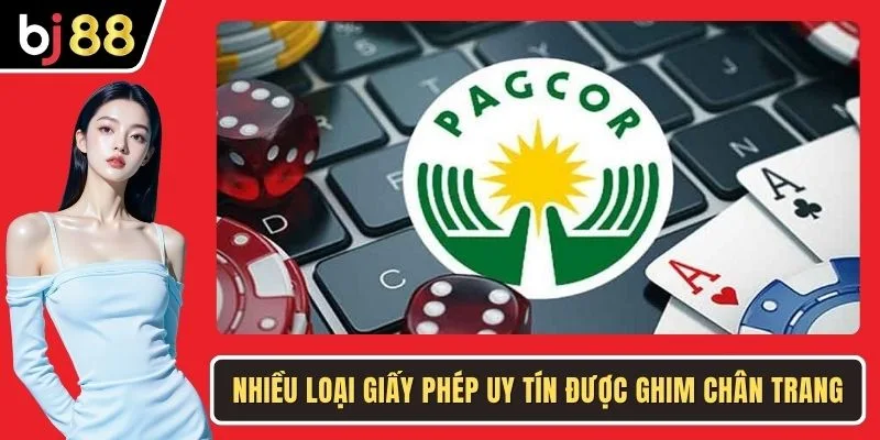 Nhiều loại giấy phép uy tín được ghim chân trang