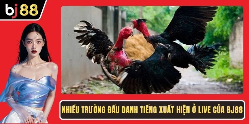 Nhiều trường đấu danh tiếng xuất hiện ở live của BJ88