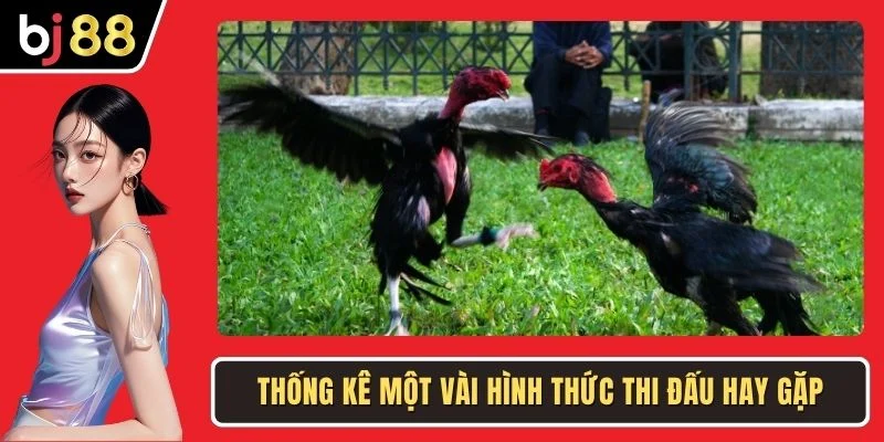 Thống kê một vài hình thức thi đấu hay gặp